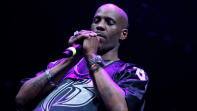 DMX Net Worth