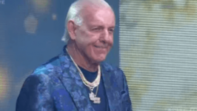 Ric Flair Net Worth 2024