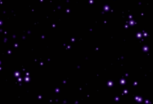 Purple Stars 02 Net Worth
