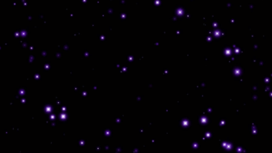 Purple Stars 02 Net Worth