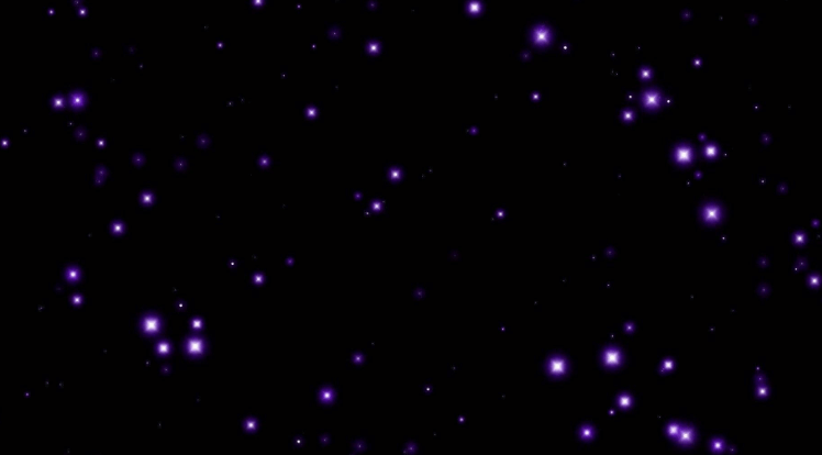 Purple Stars 02 Net Worth