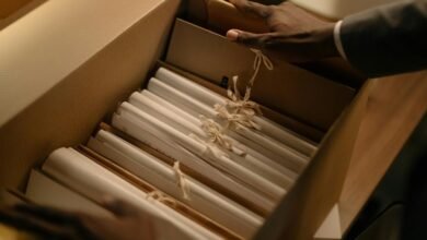 record lookup investigation portal