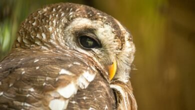 suspicious contact search alert